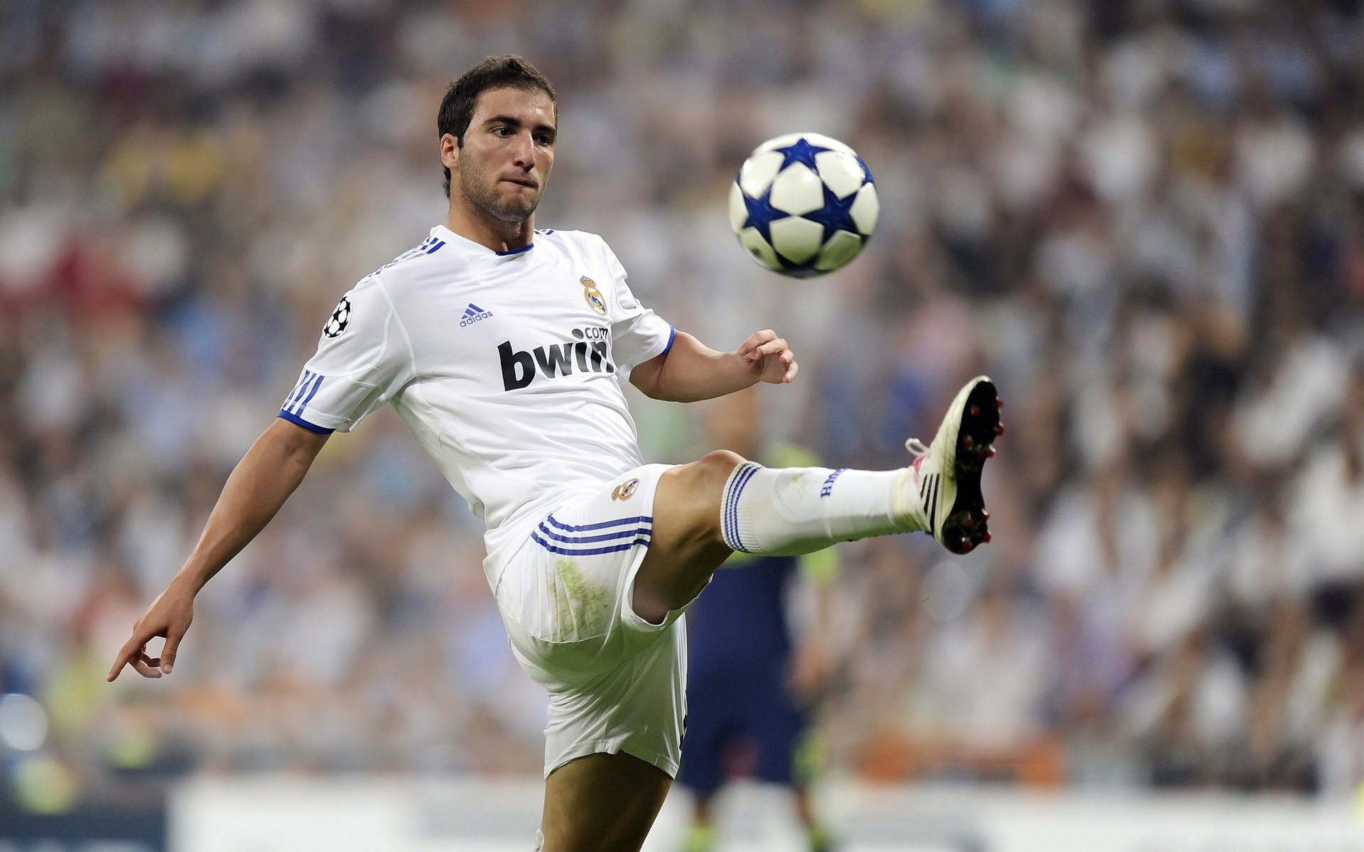 内部赞誉齐尔克泽,但未获上场机会,齐尔克泽 帕尔马